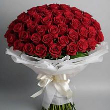 Букет 101 Красная роза Блэк Мэджик #REPLACE_PRED# Сеймчане