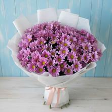 Букет цветов из:  Хризантемы в Сеймчане