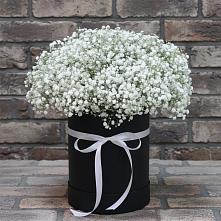 Цветочная композиция из Гипсофила в шляпной коробке в Сеймчане