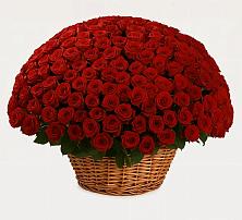 Премиум букет из: Розы в Сеймчане