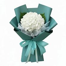 Букет цветов из:  Гортензия #REPLACE_PRED# Сеймчане